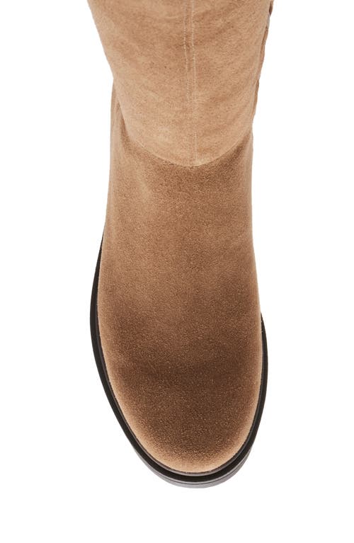Blondo Colorado Waterproof Knee High Riding Boot In Tan Suede