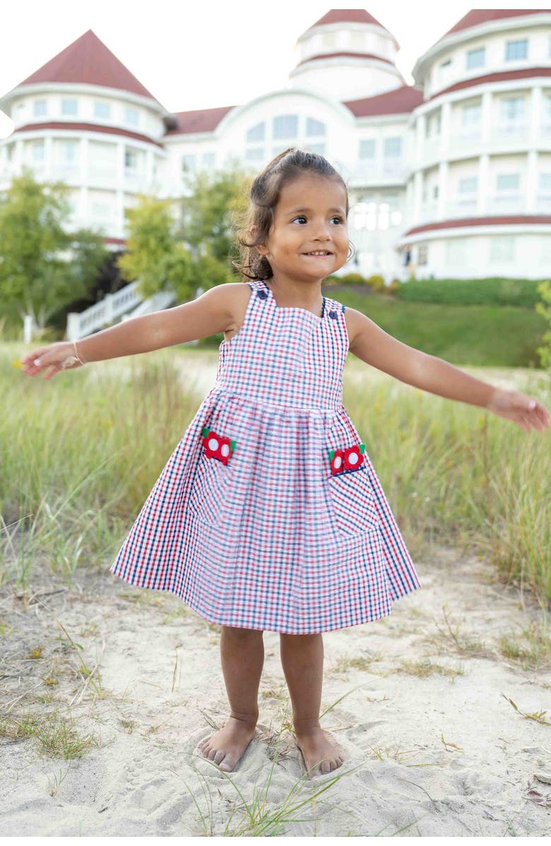 Florence Eiseman Plaid Seersucker Dress With Flowers, Alternate, color, Navy/White/Red