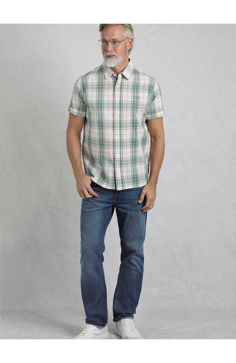 Weird Fish Judd Short Sleeve Check Shirt, Alternate, color, Viridis