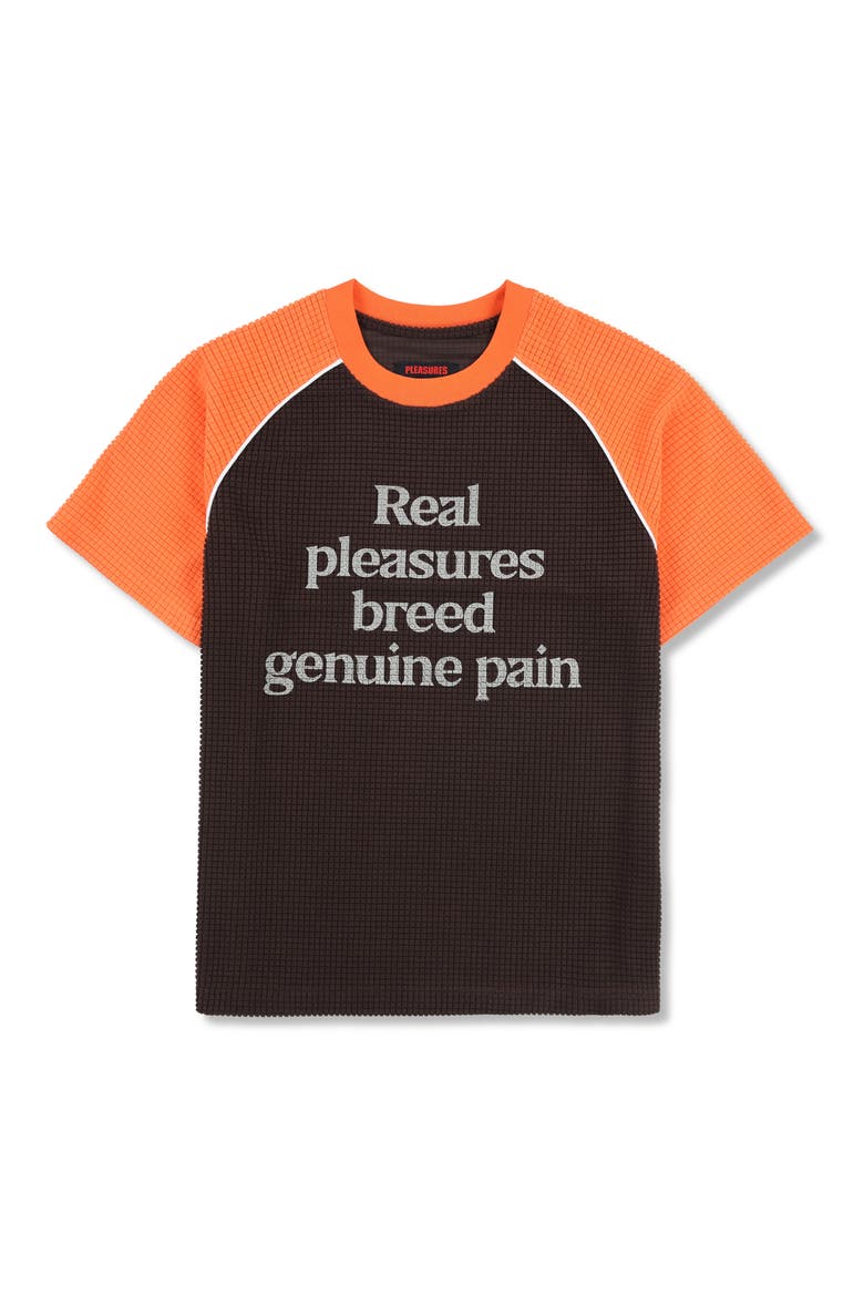 Breed Raglan Cotton Waffle Graphic T-Shirt, Main, color, BROWN