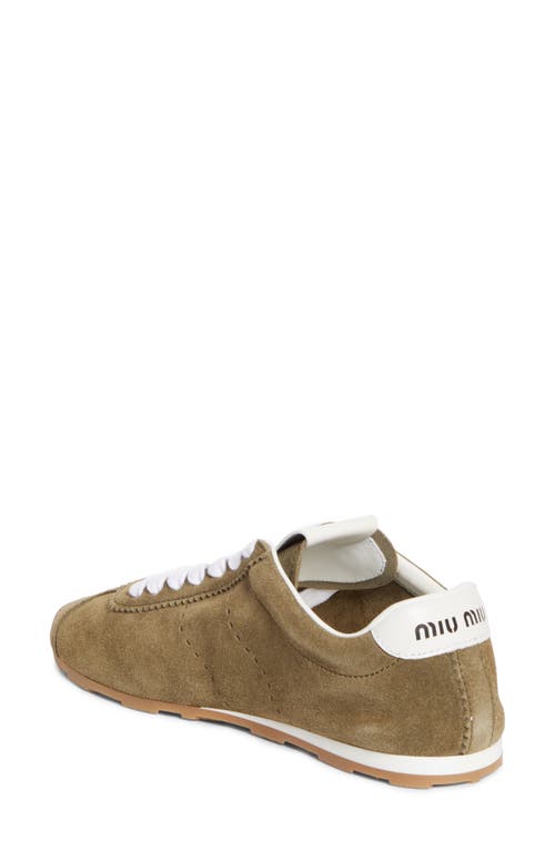 Miu Miu Allacciate Low Top Sneaker In Brown