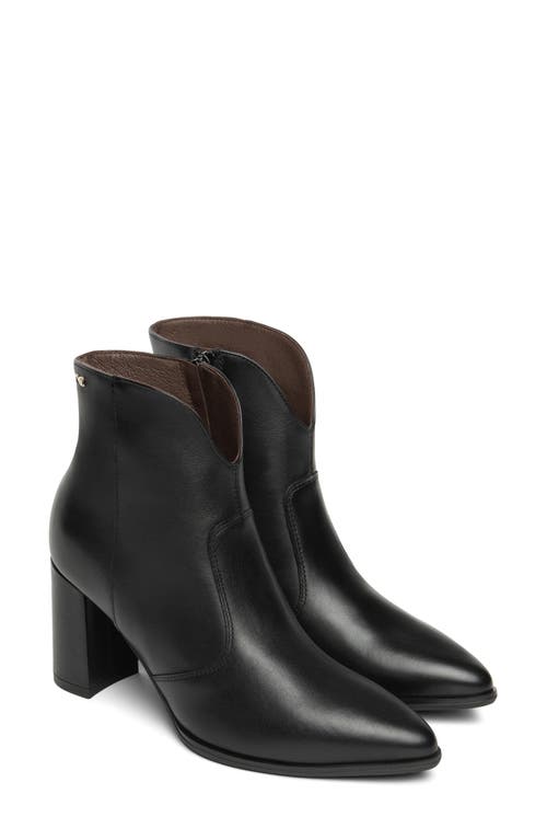Nerogiardini V-cut Bootie In Black