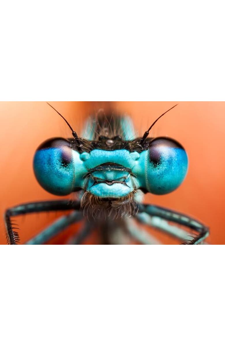 VULIWEAR ReVamp Polarized Sunglasses, Alternate, color, Bluu