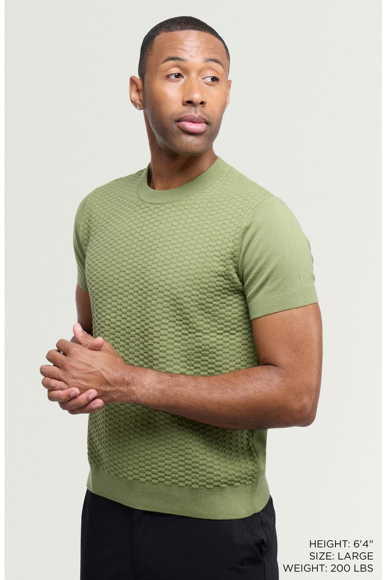 Check Short Sleeve Sweater, Alternate, color, GRASS