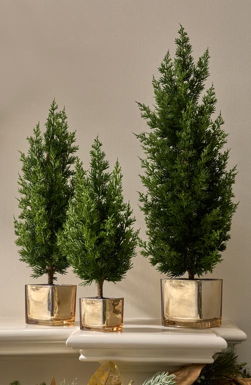 Balsam Hill Evergreen Set Of 3 Tabletop Trees In Green
