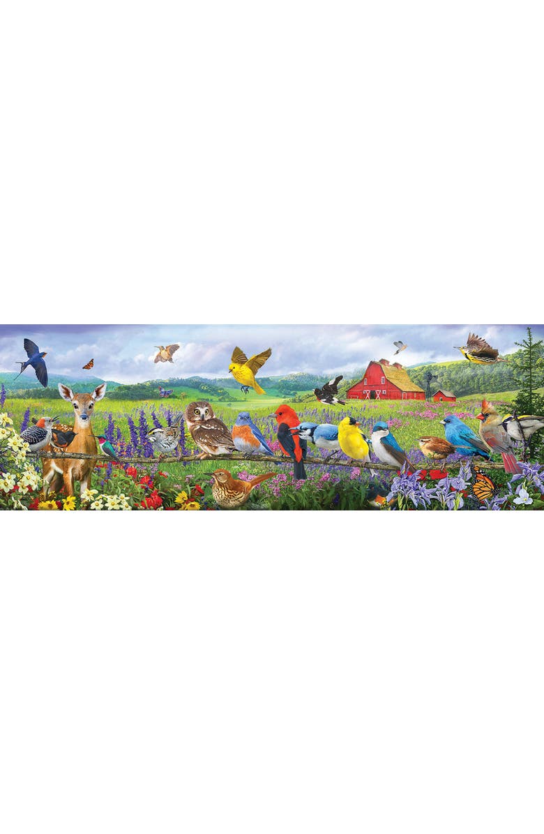Sunsout Eastern Birds 500 piece Jigsaw Puzzle for Adults, Alternate, color, Multicolor
