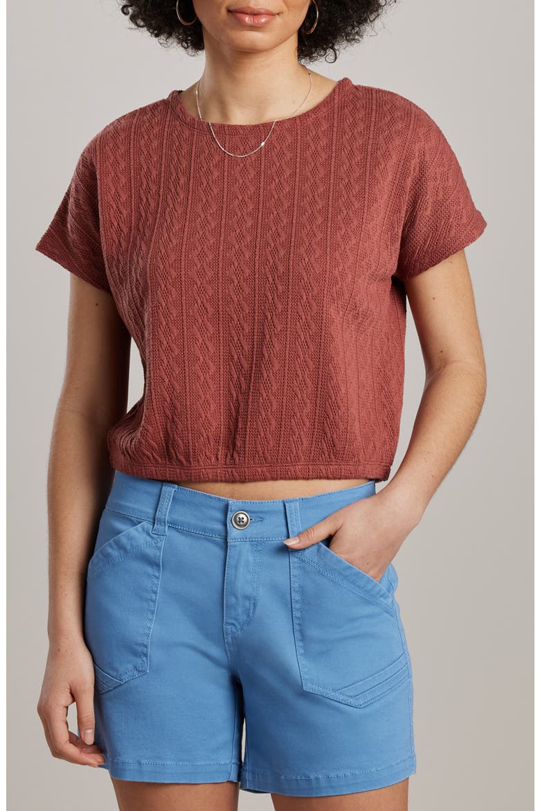 Noah Cable Stitch Top, Main, color, RED CLAY