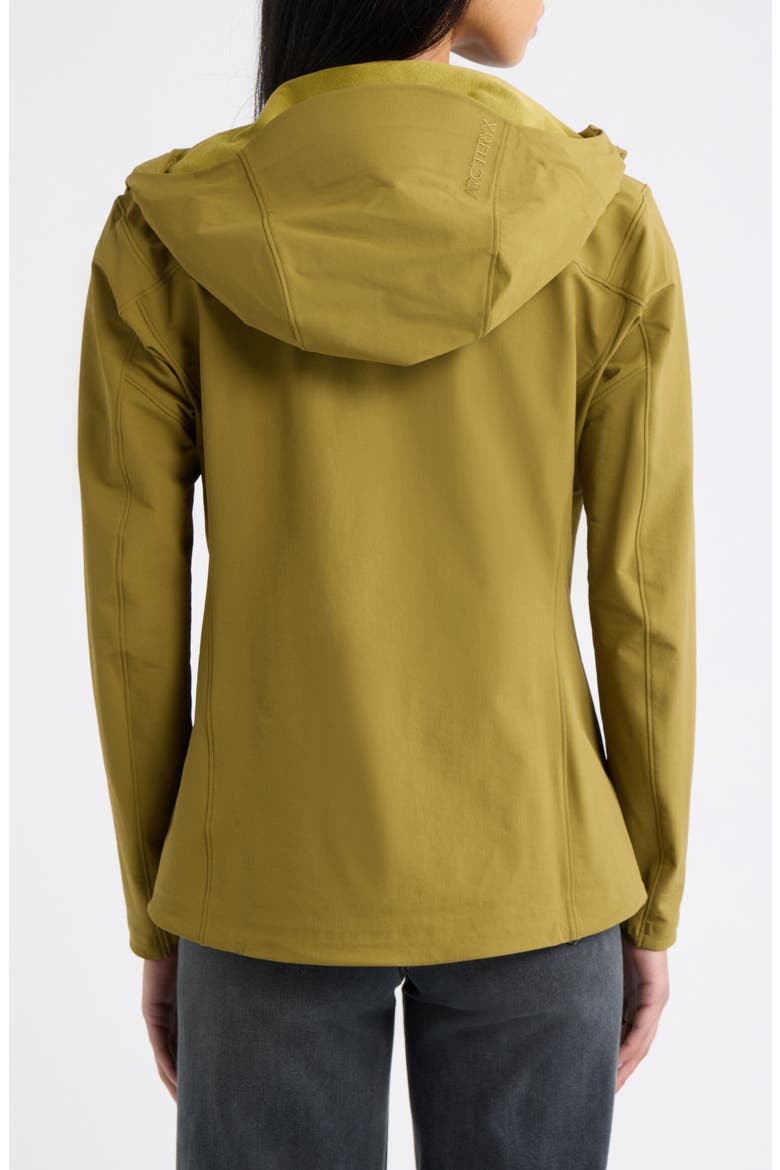 Gamma Performance Hoody, Alternate, color, BRACKEN