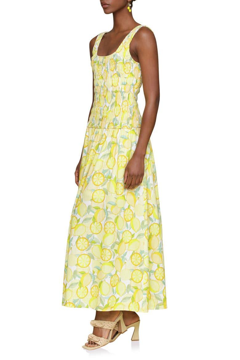 Smocked Sleeveless Fit & Flare Maxi Dress, Alternate, color, LIMONCELLO