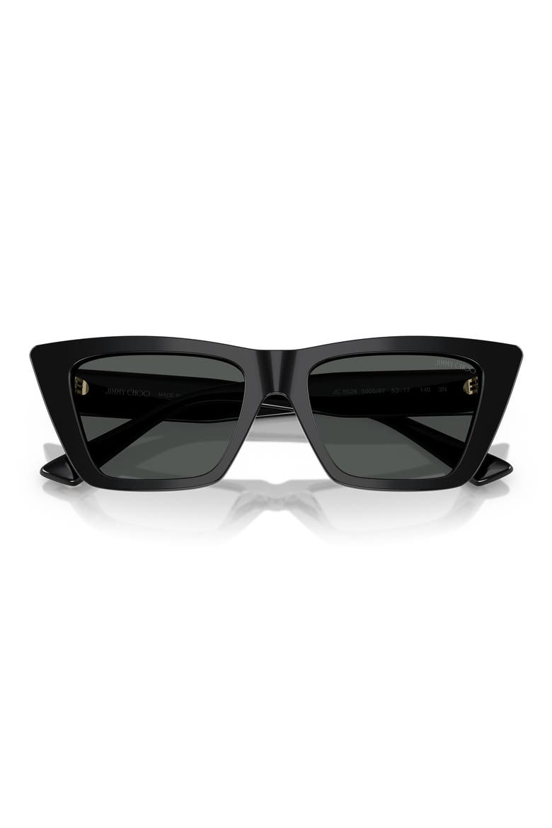 53mm Cat Eye Sunglasses, Alternate, color, BLACK