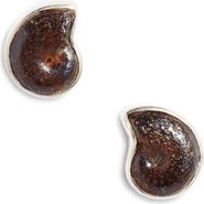 Child of Wild Eternal Ammonite Stud Earrings