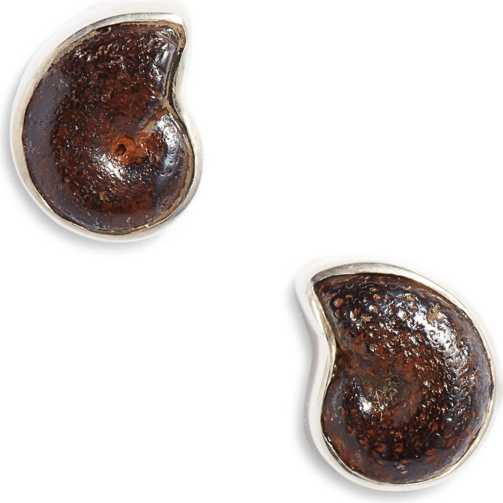 Child Of Wild Eternal Ammonite Stud Earrings In Silver