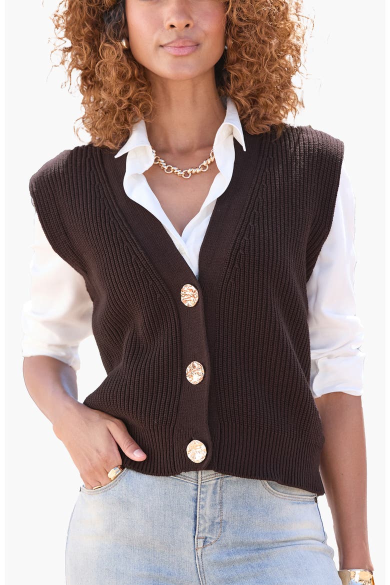 Button Detail Sweater Vest, Main, color, Brown