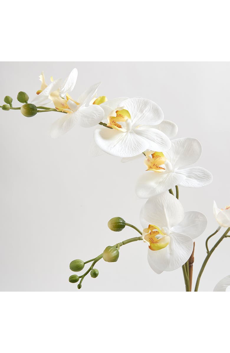 CG Hunter Artificial Orchid with Succulents, Alternate, color, White, Green, Grey