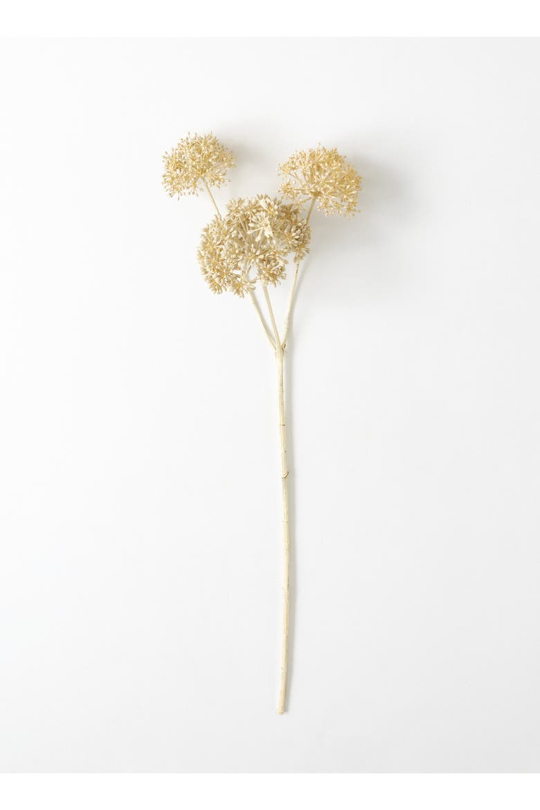 Sullivan's Seed Pod Spray, Cream Faux Floral Stem for Crafting, Weddings, Home and Holiday Decoration, 31 Inch, Main, color, Beige