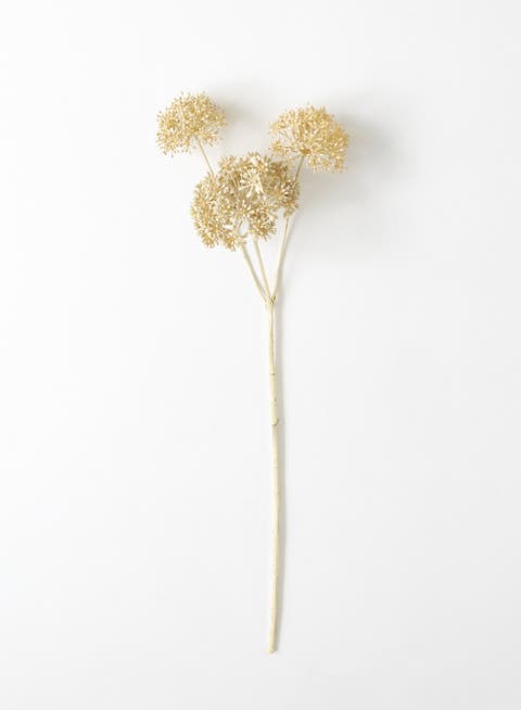 Sullivan's Seed Pod Spray, Cream Faux Floral Stem for Crafting, Weddings, Home and Holiday Decoration, 31 Inch