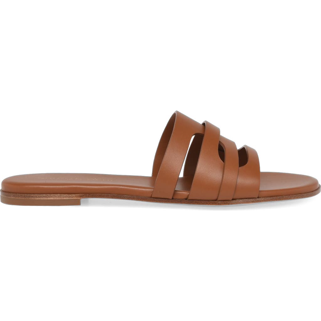 Gianvito Rossi Nora Mule in Brown Calf at Nordstrom, Size 36.5
