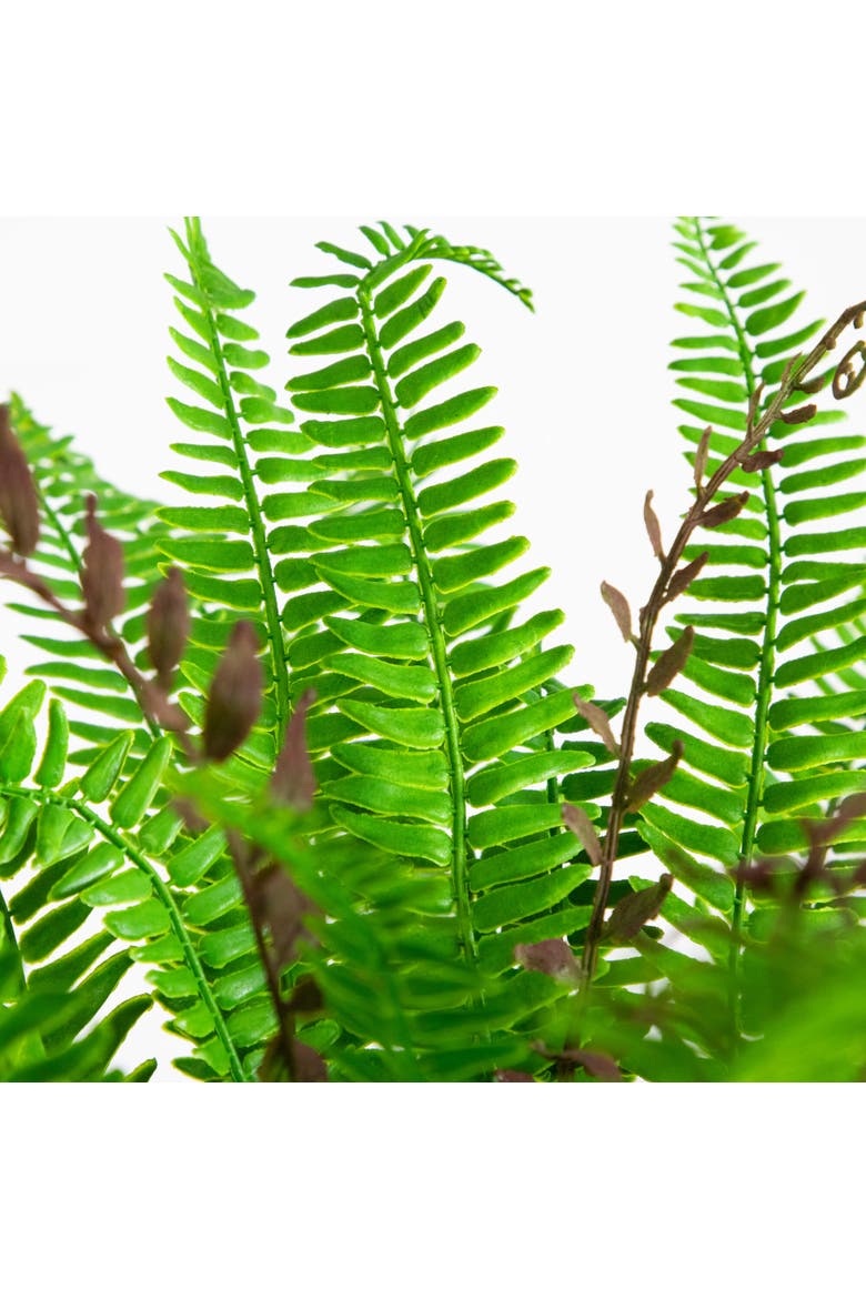 23-in UV Resistant Artificial Real Touch Boston Fern Plant, Alternate, color, Green