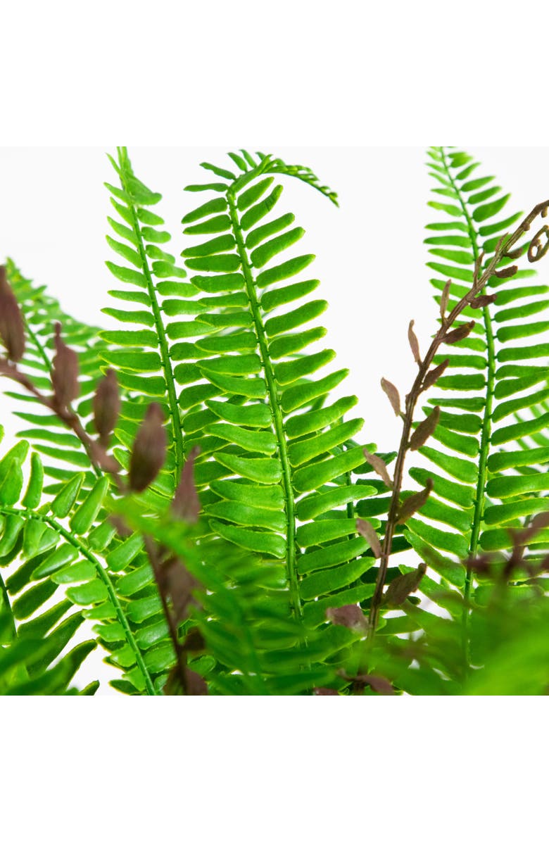 NEARLY NATURAL 23-in UV Resistant Artificial Real Touch Boston Fern Plant, Alternate, color, Green