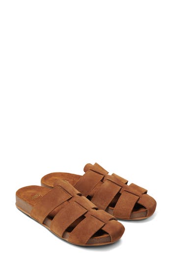 Beek Tody Mule In Brown