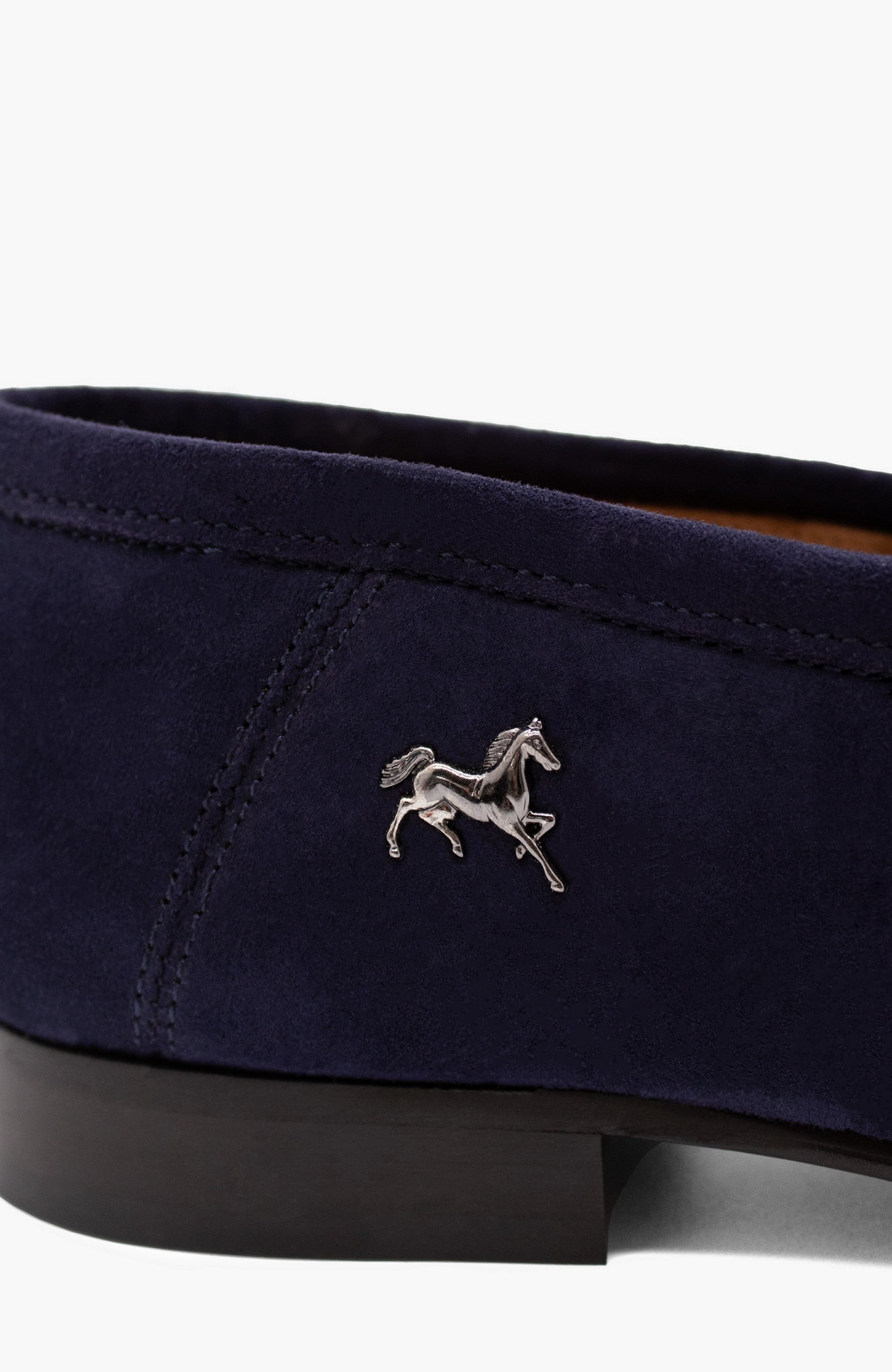 Gentleman Pointed Toe Suede Loafers, Alternate, color, Navy