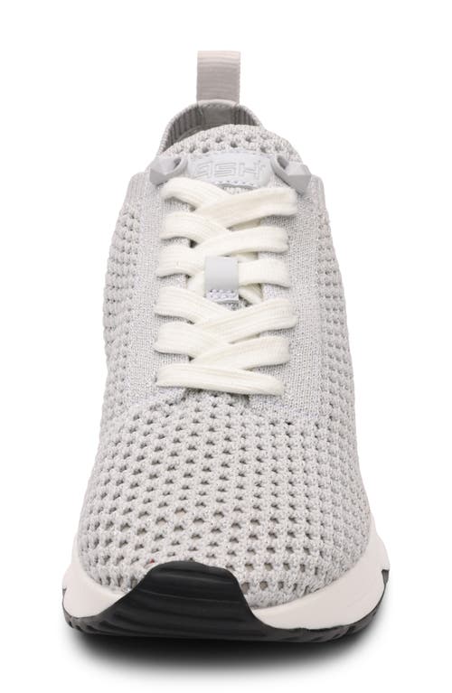 ASH ASH LAIKA MESH SNEAKER