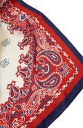 Belle & Bloom Jolene Fashion Scarf
