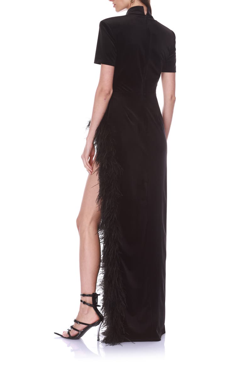Feather Trim Velvet Maxi Dress, Alternate, color, BLACK