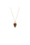 selected Tiger Eye