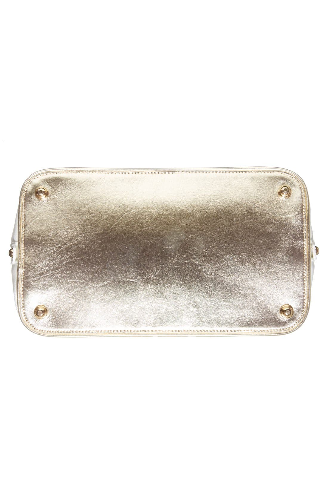 Brahmin , Alternate, color, 