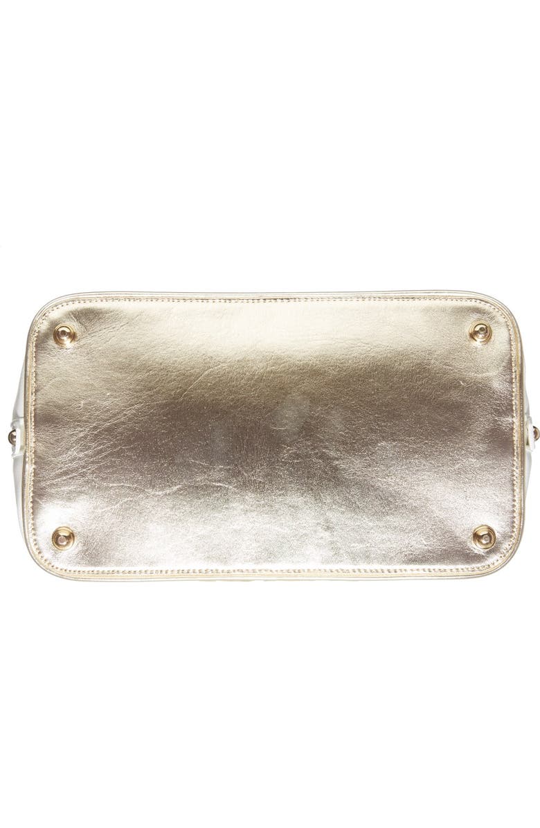 Brahmin , Alternate, color,