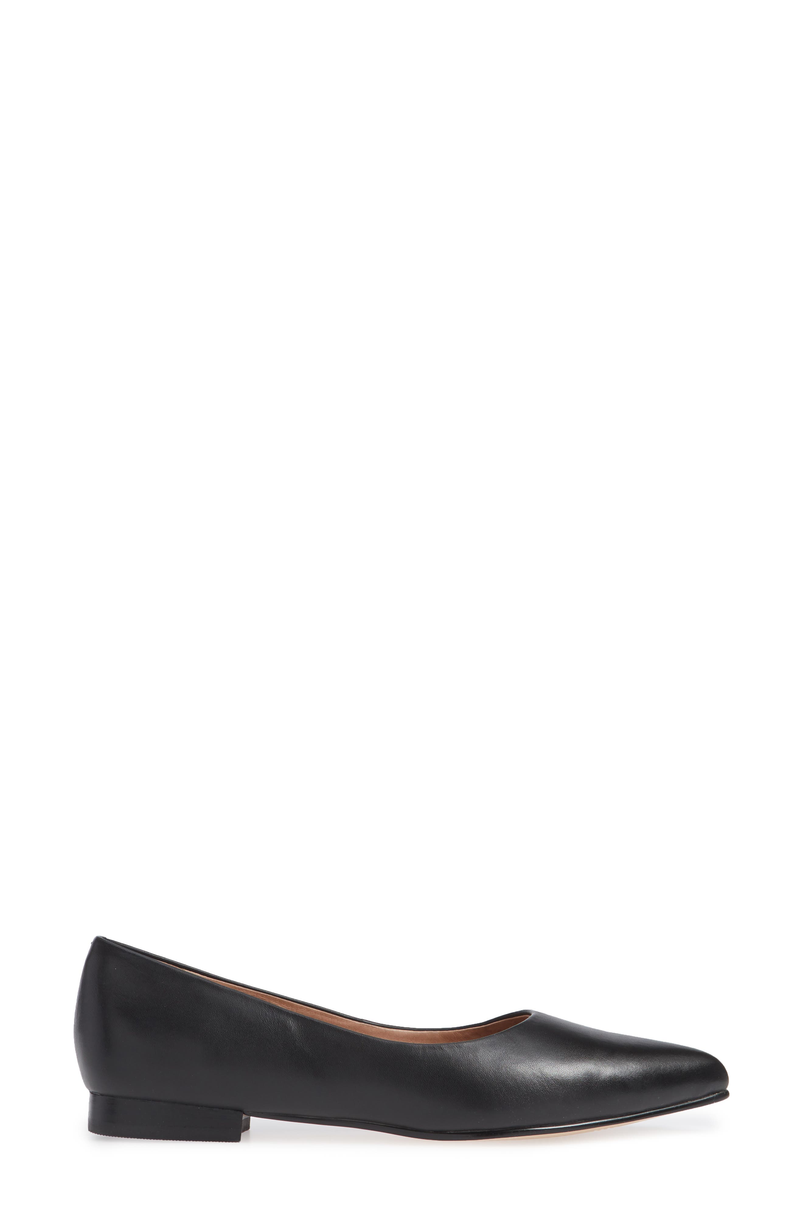 Luna Pointy Toe Flat, Alternate, color, BLACK LEATHER
