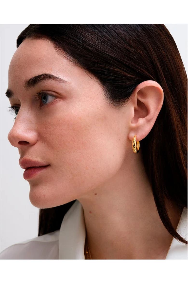Gold Celestial Tiny Star Hoop Earrings, Alternate, color, Tiny Star