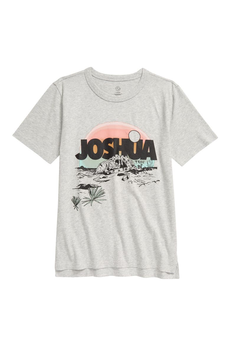 Kids' Relaxed Fit Graphic Tee, Main, color, GREY JOSHUA TREE