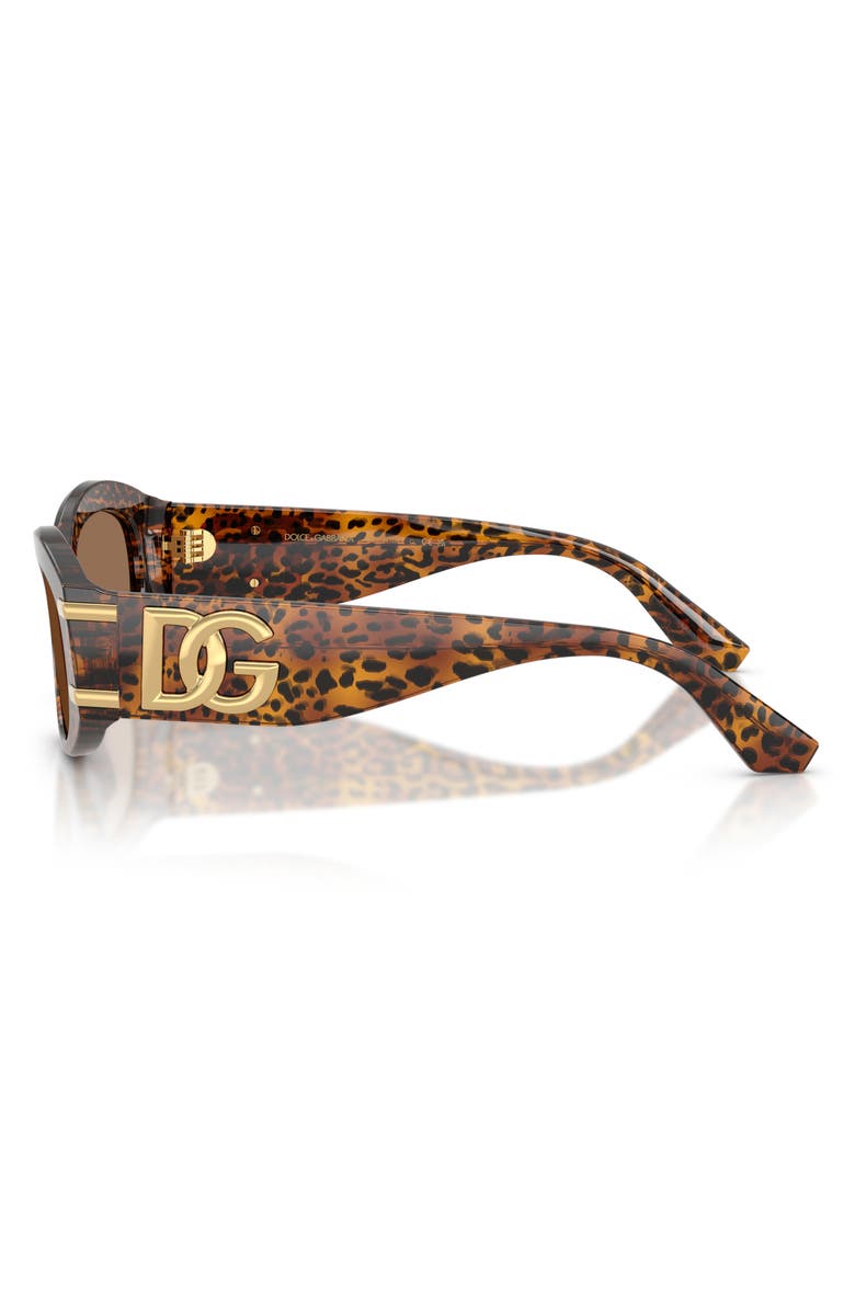 Dolce&Gabbana 55mm Oval Sunglasses, Alternate, color, Leo Transparent / Dark Brown