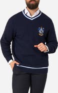 OppoSuits Harry Potter Ravenclaw Sweater