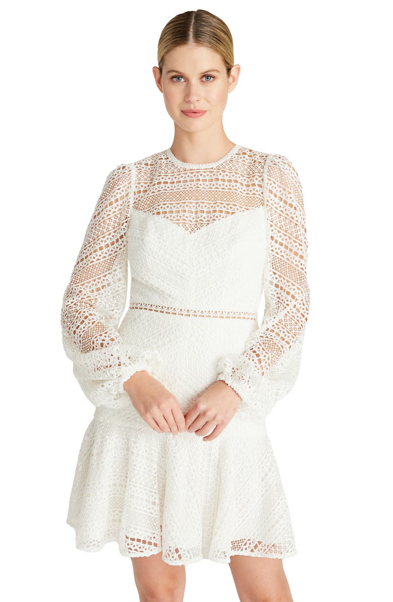 ML Monique Lhuillier Long Sleeve Lace Fit & Flare Minidress, Alternate, color, 