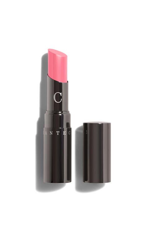 Chantecaille Lip Chic Lipstick In Hyacinth