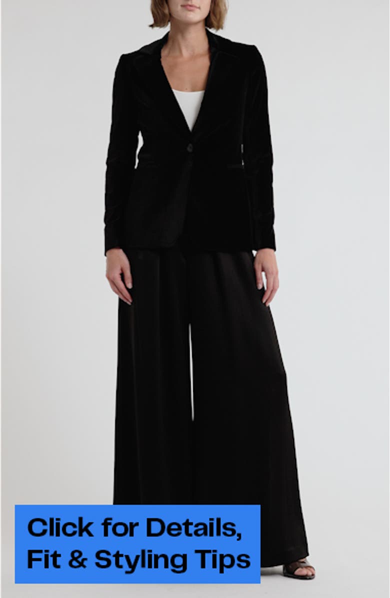 Macey Fitted Velvet Blazer, sales video thumbnail