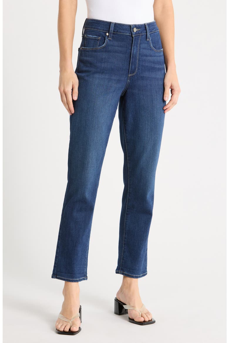 Brigitte High Waist Slim Leg Jeans, Main, color, MEDORA