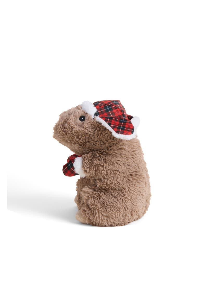 Cozy Capybara Plush Toy, Alternate, color, Brown