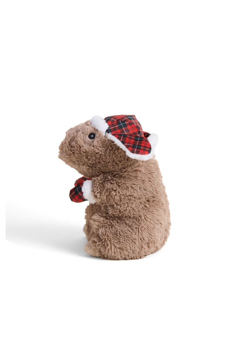 Warmies Cozy Capybara Plush Toy, Alternate, color, 