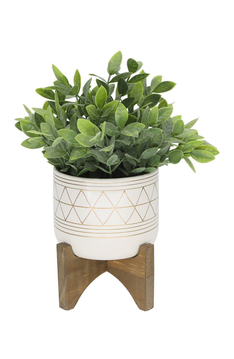 FLORA BUNDA 12" Tea Plant in 5" Geo Ceramic Footed Pot, Main, color, 