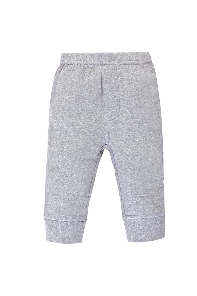 Organic Cotton Pants, Alternate, color, Bold Dinosaurs