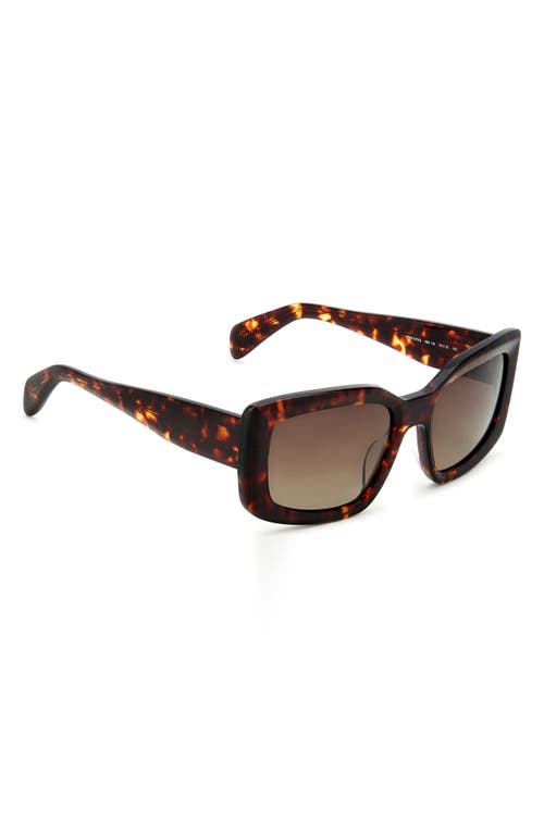 Rag & Bone 54mm Gradient Rectangular Sunglasses In Havana/brown Gradient