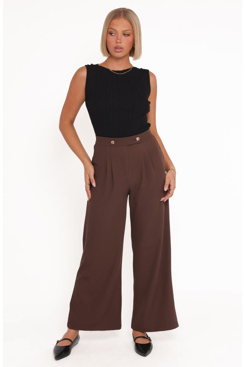Corfu Pleat Front Wide Leg Pants, Alternate, color, BROWN