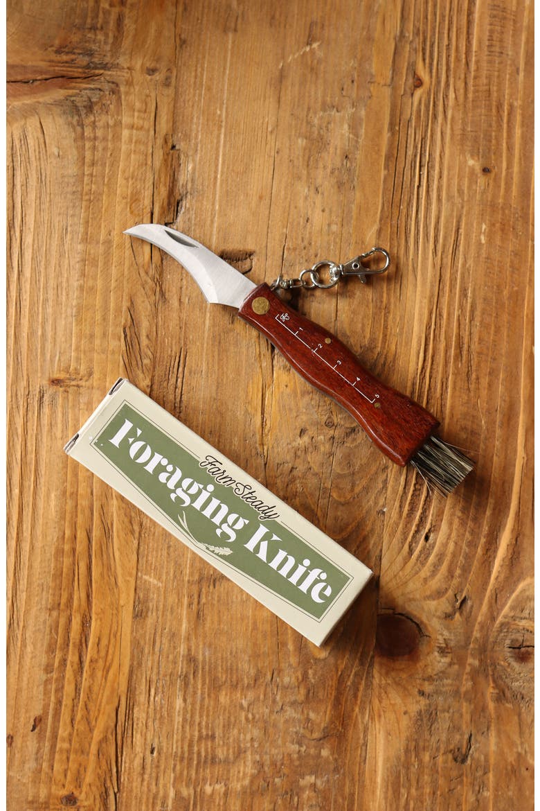 Foraging Tool Kit, Alternate, color, RED