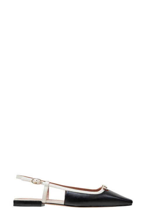 Linea Paolo Cassidy Pointed Toe Slingback Flat