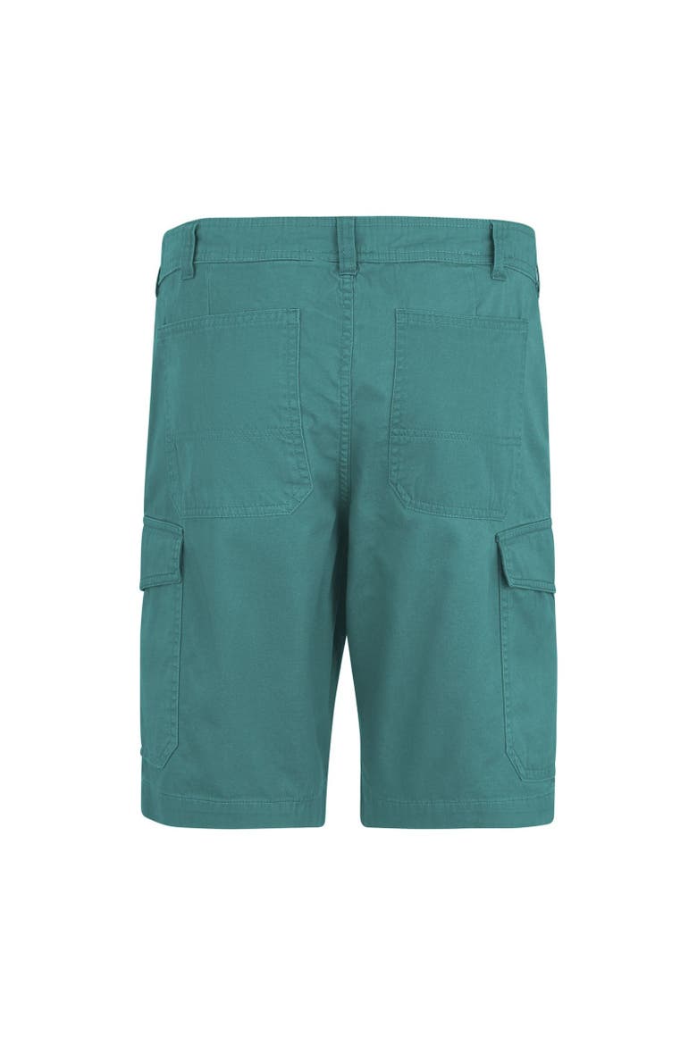 Ruwan Casual Shorts, Alternate, color, Arctic
