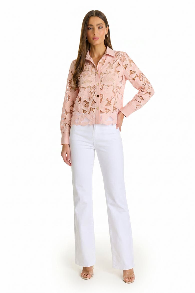 Mina Lace Blouse, Alternate, color, Blush